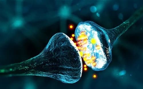 Scientific study collage related to female libido